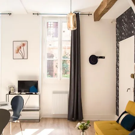 La Dame Du Taur By Cocoonr Appartement