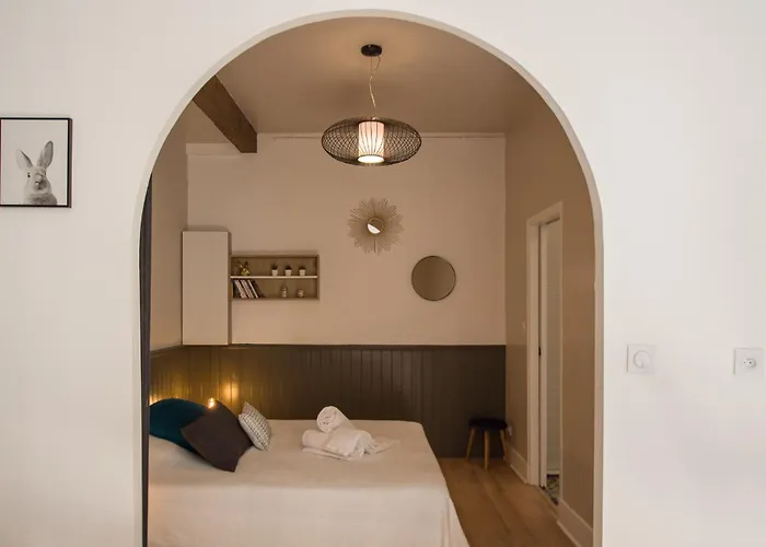 La Dame Du Taur By Cocoonr Апартаменты Тулуза