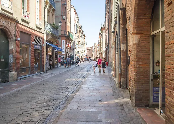 Apartamento La Dame Du Taur By Cocoonr Toulouse